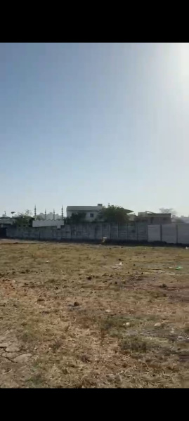  Industrial Land 3295 Sq.ft. for Sale in Saykha Industrial Zone, Bharuch