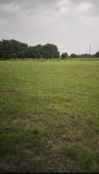 Agricultural Land for Sale in Waghodia, Vadodara