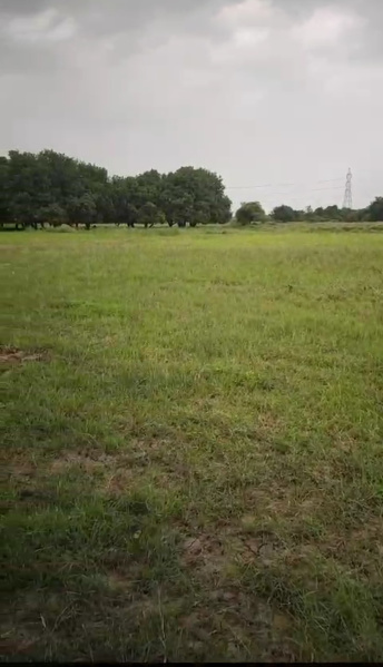  Agricultural Land 450000 Sq.ft. for Sale in Waghodia, Vadodara