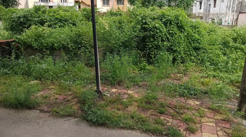  Residential Plot 4000 Sq.ft. for Sale in Vasna Bhayli Road, Vadodara