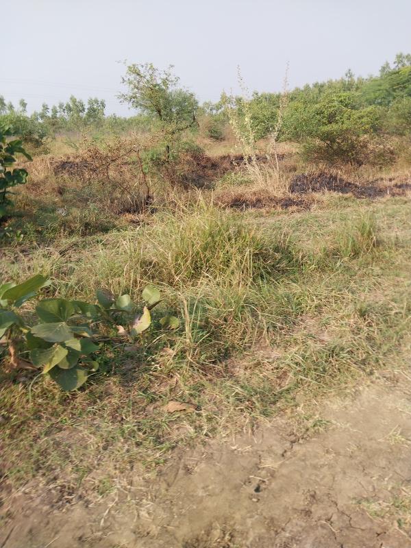  50000 Sq.ft. Commercial Land for Sale in Waghodia GIDC, Vadodara