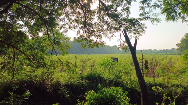  315000 Sq.ft. Residential Plot for Sale in Bhayli, Vadodara