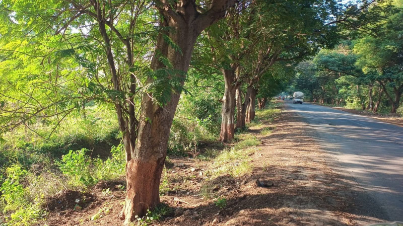  315000 Sq.ft. Residential Plot for Sale in Bhayli, Vadodara