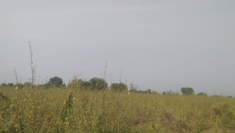  100000 Sq.ft. Commercial Land for Sale in Waghodia, Vadodara