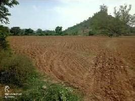  Agricultural Land for Sale in Reni, Alwar