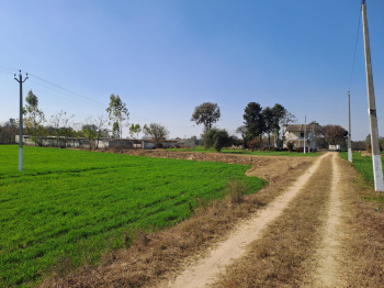  Agricultural Land for Rent in Palanpur, Banaskantha