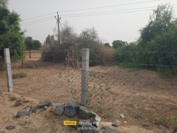  Agricultural Land for Rent in Tharad, Banaskantha