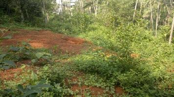  Commercial Land for Sale in Mavoor, Kozhikode