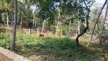  Residential Plot for Sale in Mavoor, Kozhikode