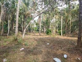  Residential Plot for Sale in Velliparamba, Kozhikode