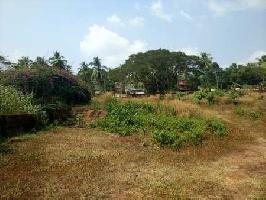  Commercial Land for Sale in Feroke, Kozhikode