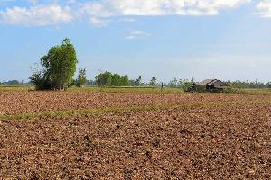  Agricultural Land for Rent in Bahadurgarh, Jhajjar