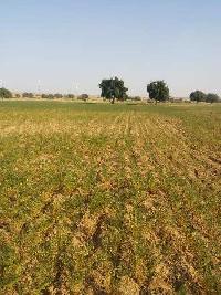  Agricultural Land for Sale in Dabla, Jaisalmer