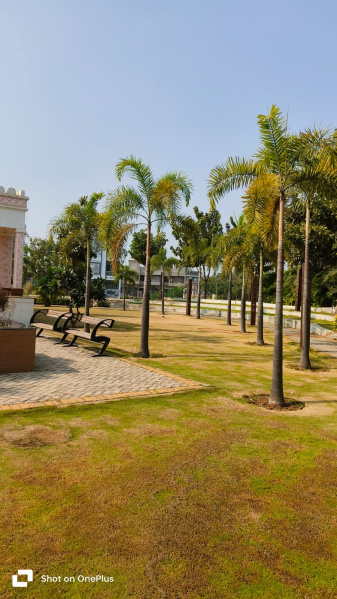  Residential Plot 800 Sq.ft. for Sale in Shankar Nagar, Raipur
