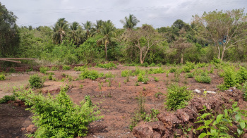  Commercial Land for Sale in Sequeira Vaddo, Candolim, Goa