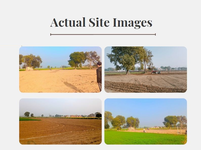  Residential Plot 100 Sq. Yards for Sale in Jewar, Gautam Buddha Nagar