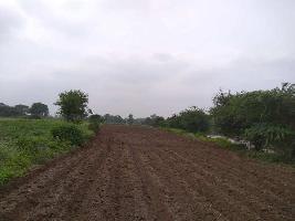  Agricultural Land for Sale in Ozar, Nashik
