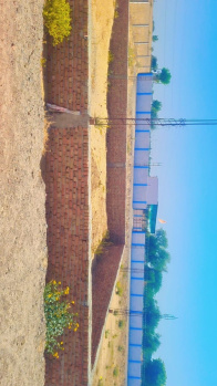  Residential Plot for Sale in Palsana Road, Sikar