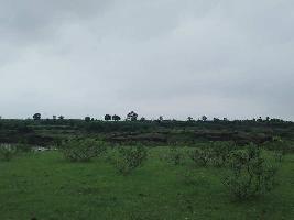  Agricultural Land for Sale in Nimgaon Wagha, Ahmednagar