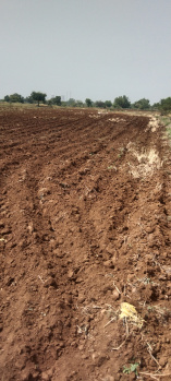  Agricultural Land for Sale in Pandhana, Khandwa