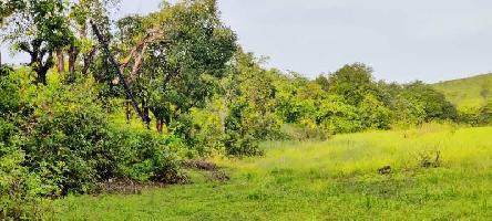  Agricultural Land for Sale in Ron, Gadag