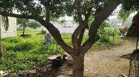  Agricultural Land for Sale in Pennagaram, Dharmapuri