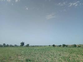  Agricultural Land for Sale in Bikaner Barmer Road, Jodhpur