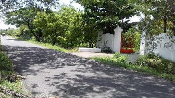  Agricultural Land for Sale in Tindivanam, Chennai