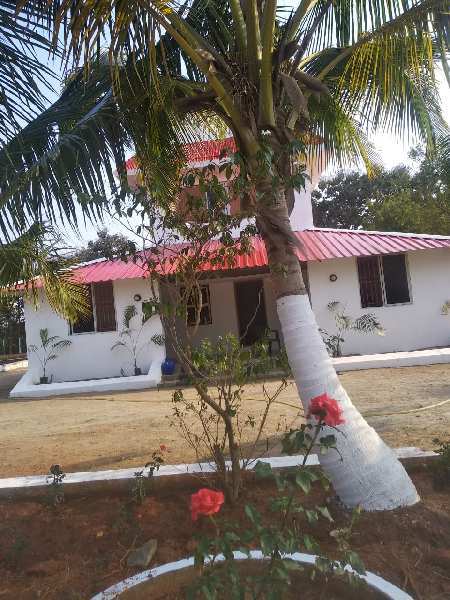  Agricultural Land 10000 Sq.ft. for Sale in Tindivanam, Chennai