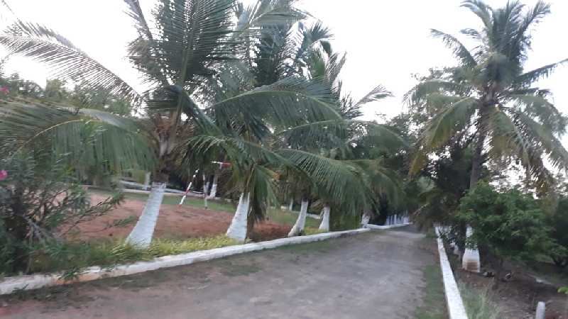  Agricultural Land 10000 Sq.ft. for Sale in Tindivanam, Chennai