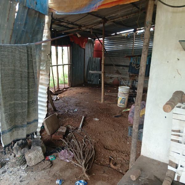  10 Acre Agricultural/Farm Land for Rent in Kharora, Raipur