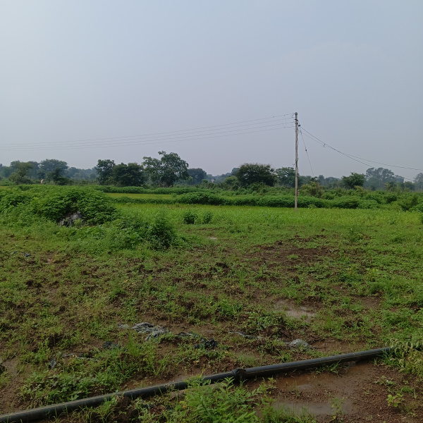  11 Acre Agricultural/Farm Land for Rent in Kharora, Raipur