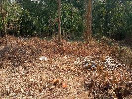  Residential Plot for Sale in Ottapalam, Palakkad