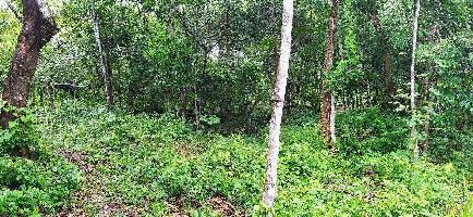  Residential Plot for Sale in Koothuparamba, Kannur