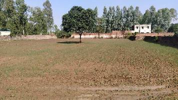  Agricultural Land for Sale in Ambala Road, Saharanpur