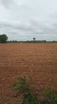 Agricultural Land for Sale in Pavagada, Tumkur