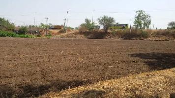  Agricultural Land for Sale in Nipani, Belagavi