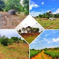 Agricultural Land for Sale in Hosur, Bangalore