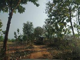  Agricultural Land for Sale in Hal Layout, Bangalore