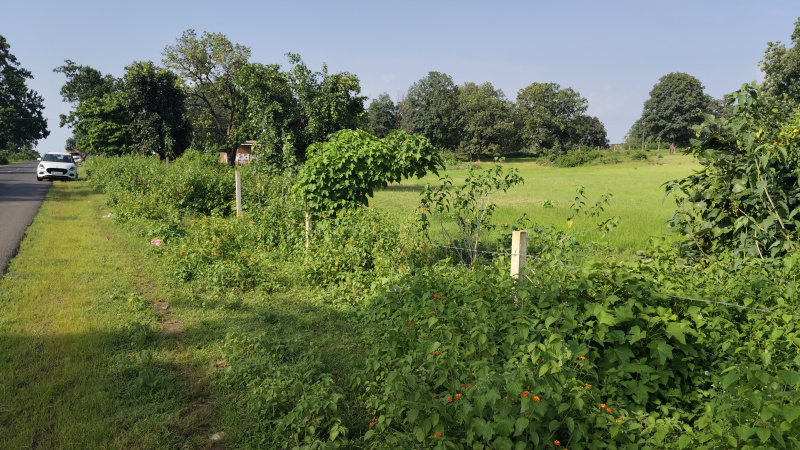  Agricultural Land 7 Acre for Sale in Bandhavgarh National Park, Umaria