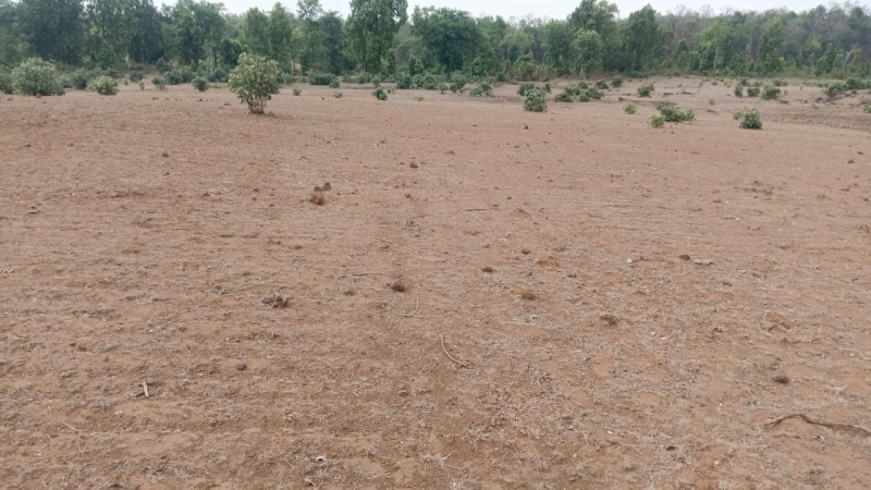  8 Acre Agricultural/Farm Land for Sale in Bandhavgarh National Park, Umaria