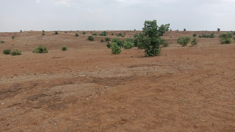  8 Acre Agricultural/Farm Land for Sale in Bandhavgarh National Park, Umaria