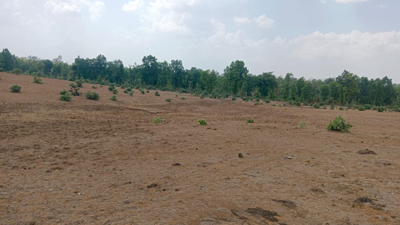  8 Acre Agricultural/Farm Land for Sale in Bandhavgarh National Park, Umaria