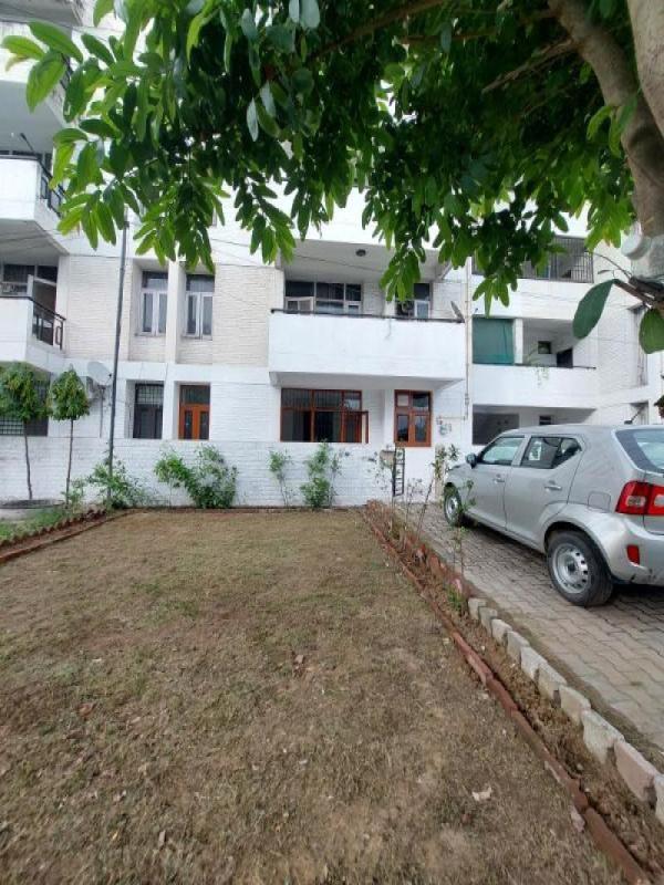 2 BHK Apartment 1250 Sq.ft. for Rent in Sector 51 Chandigarh