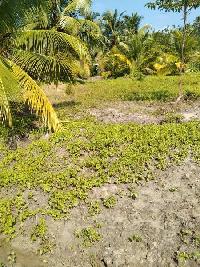  Agricultural Land for Sale in Havelock Island, Andaman