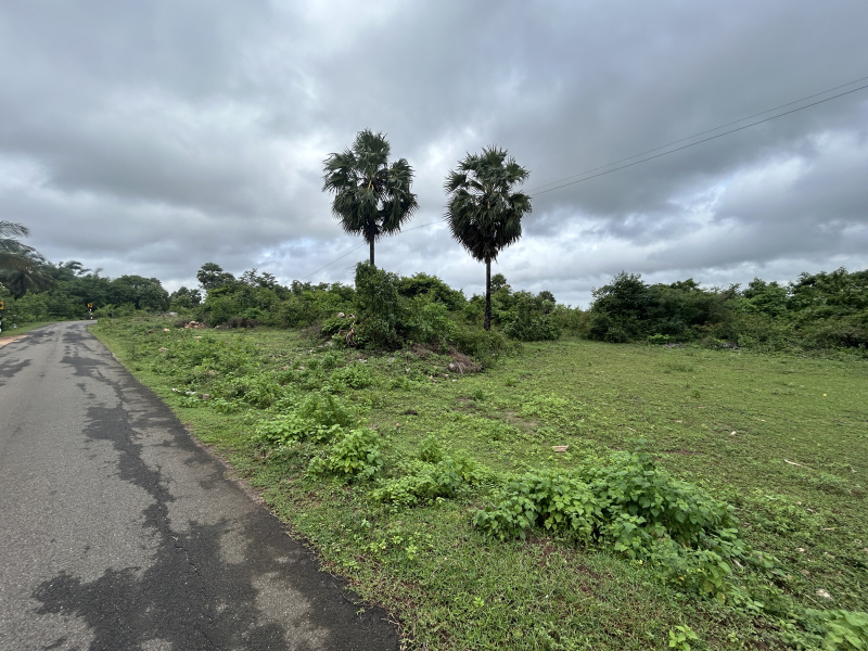  Agricultural Land 9 Acre for Sale in Kinathukadavu, Coimbatore
