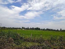  Agricultural Land for Sale in Devakottai, Sivaganga