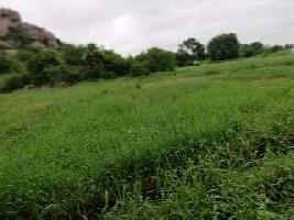  Agricultural Land for Sale in kamkole NH65 highway