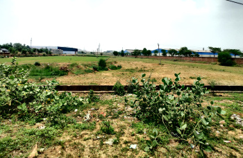  Industrial Land for Sale in Bhiwadi Extension