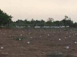  Commercial Land for Sale in Mandvi, Kutch